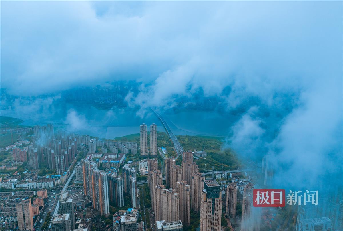 金鲨银鲨哪里有